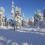 Lomamökit Yläkolo - A Functional In A Good Location Saariselkä