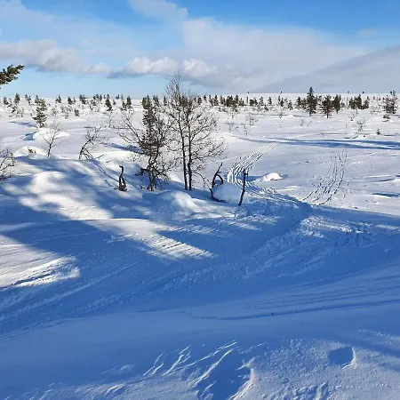 Ylaekolo - A Functional In A Good Location シャレー サーリセルカ