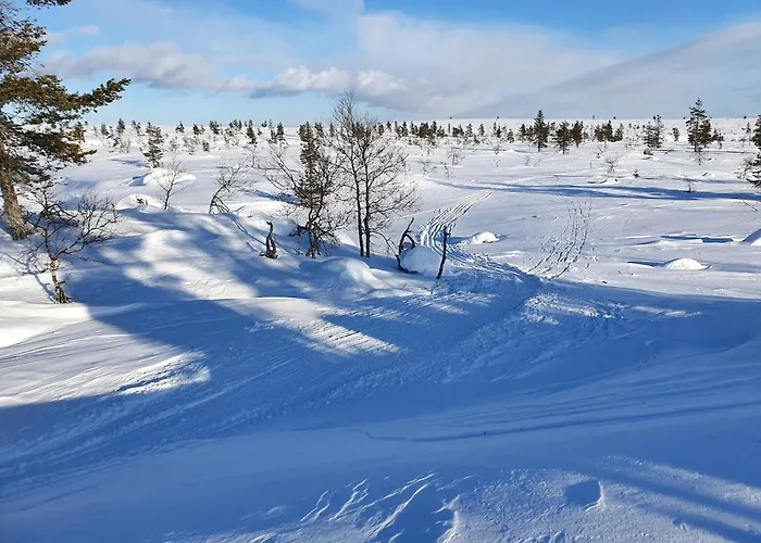 Ylaekolo - A Functional In A Good Location シャレー サーリセルカ