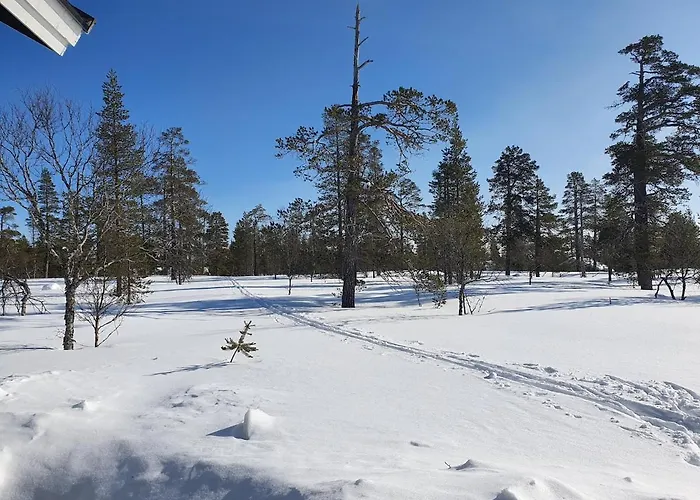 Ylaekolo - A Functional In A Good Location *