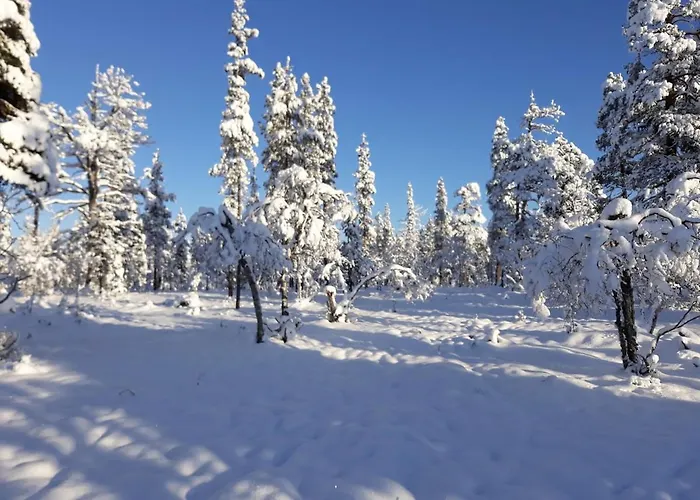 シャレー Ylaekolo - A Functional In A Good Location サーリセルカ